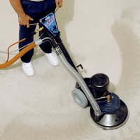 carpet cleaning
